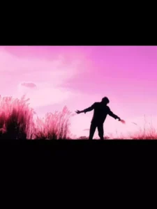 Pink Colorgrading Capcut template