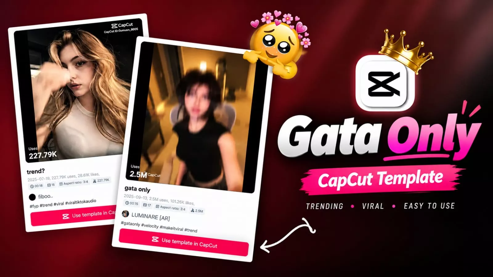Trending Gata Only Capcut template